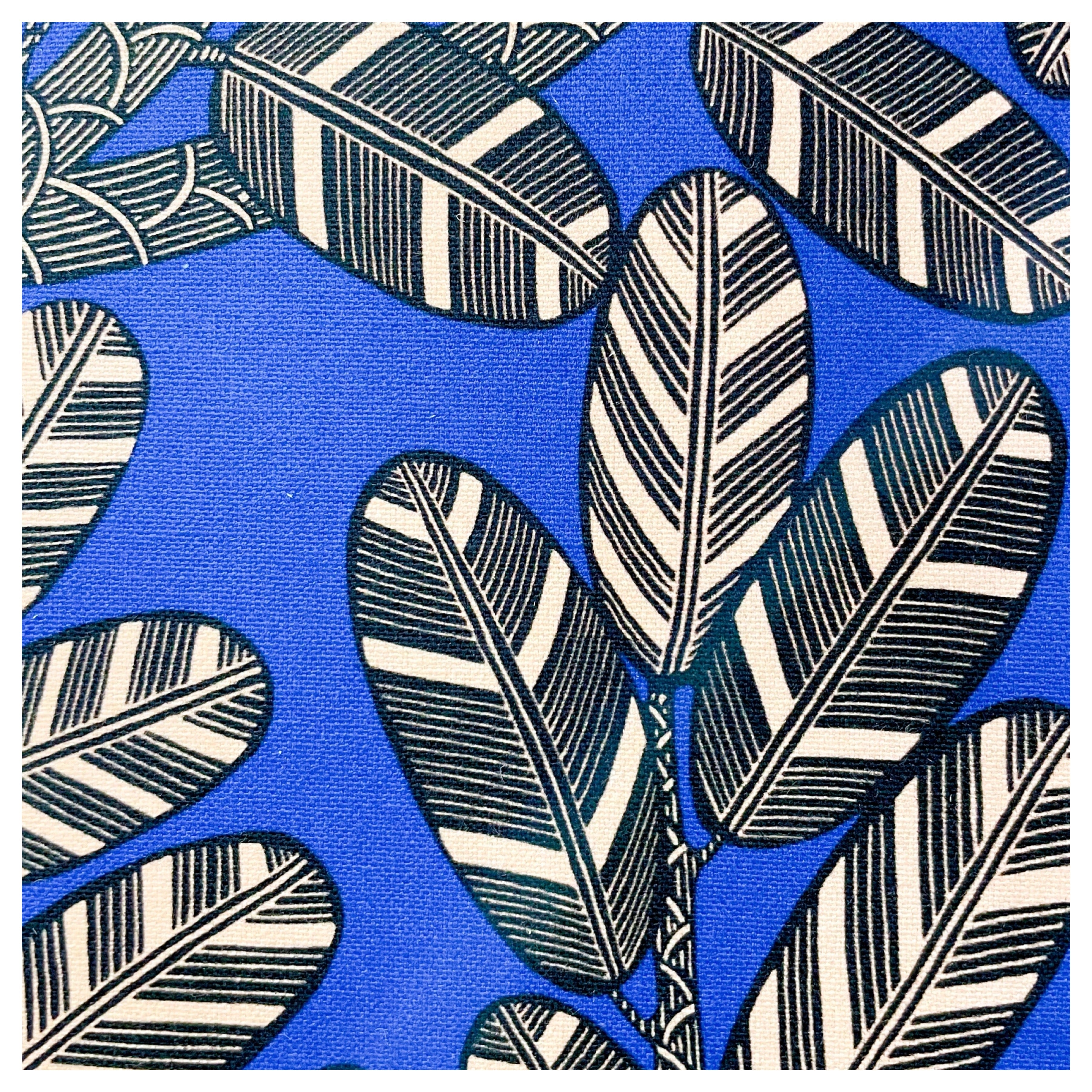 Amazone - Coton. Bleu vif