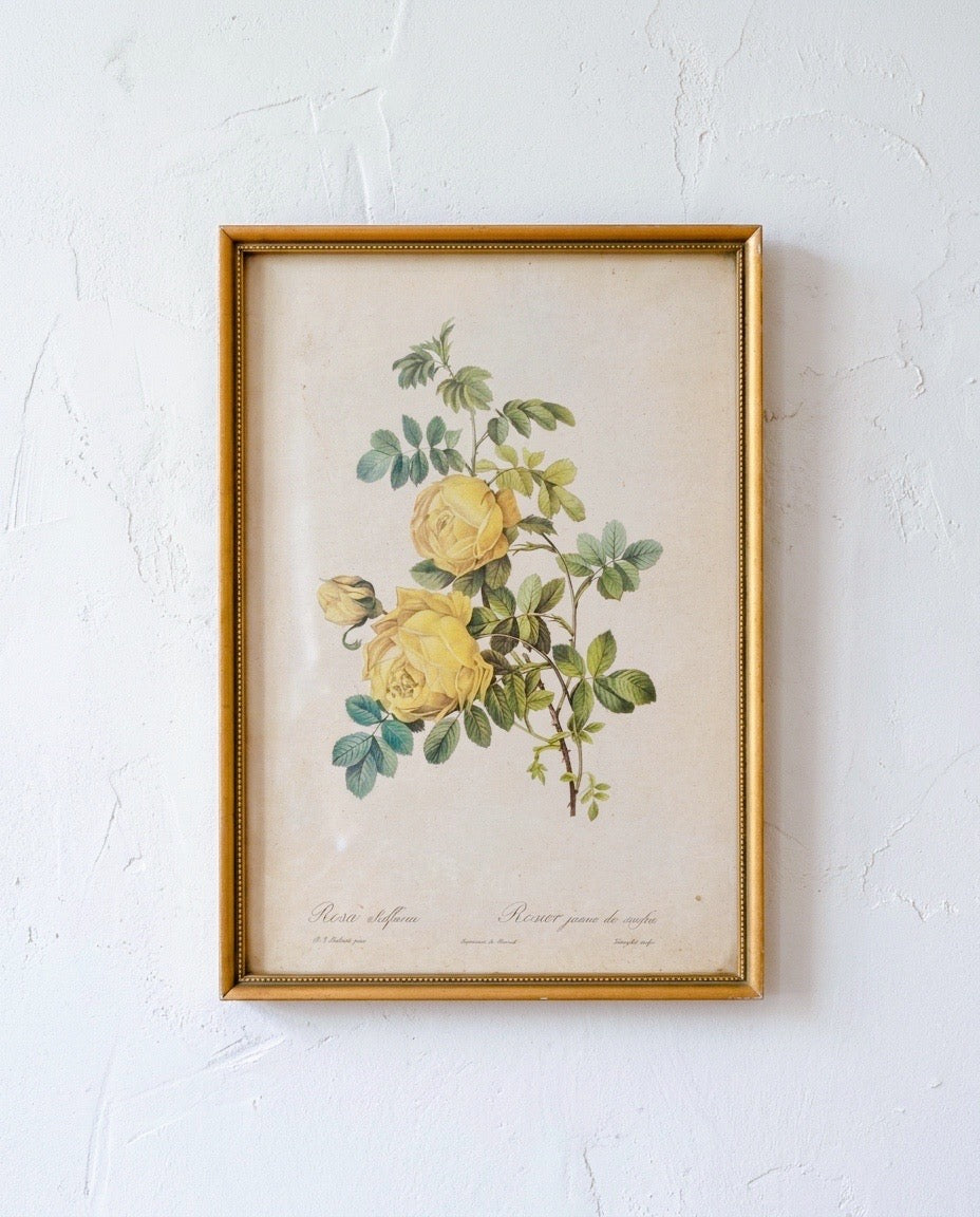 Cadre floral vintage - rosier jaune