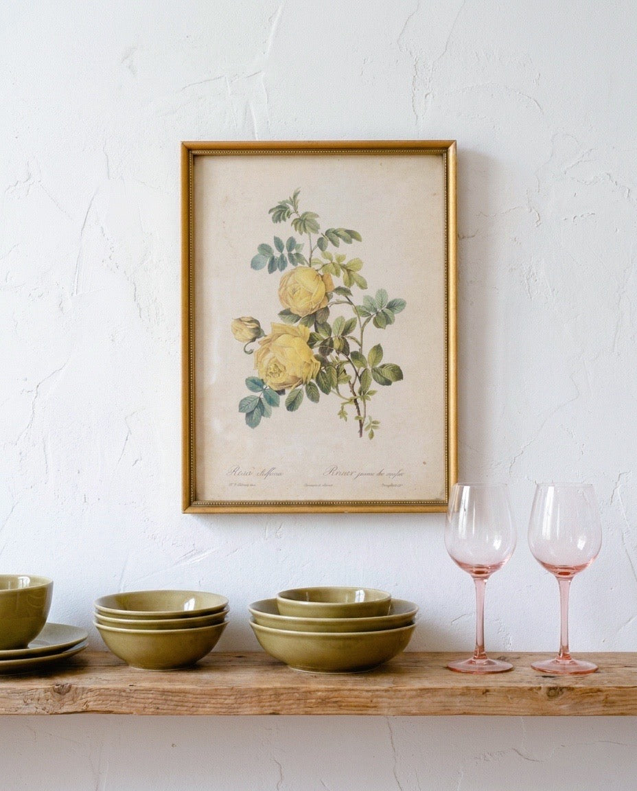 Cadre floral vintage - rosier jaune