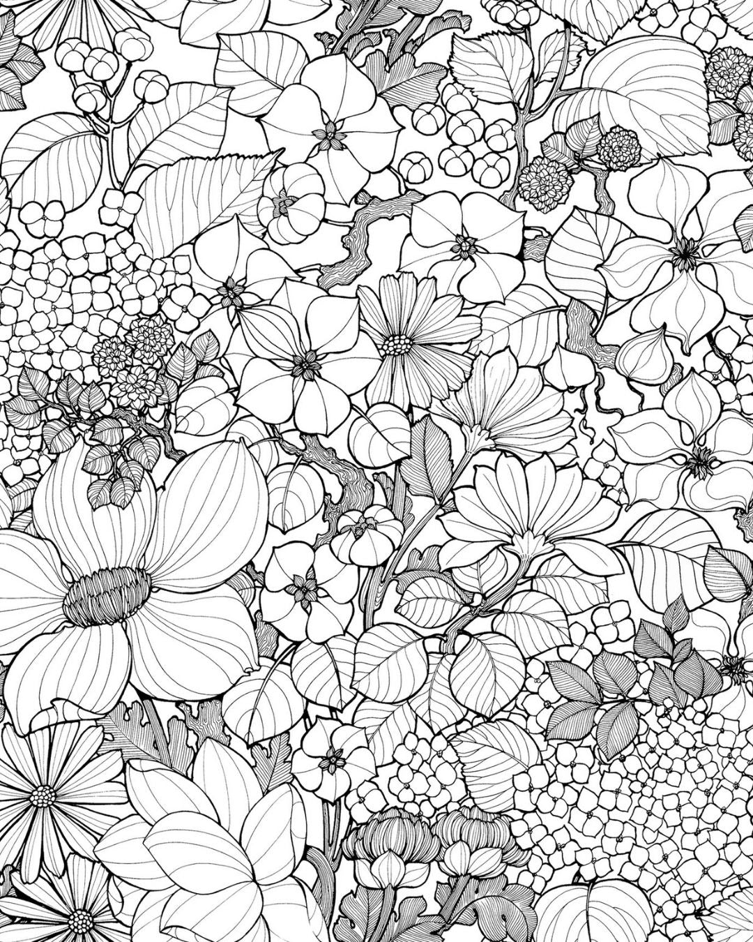 Papier peint Suzie écru, fleurs rondes au trait noir sur fond blanc, Maison Thevenon