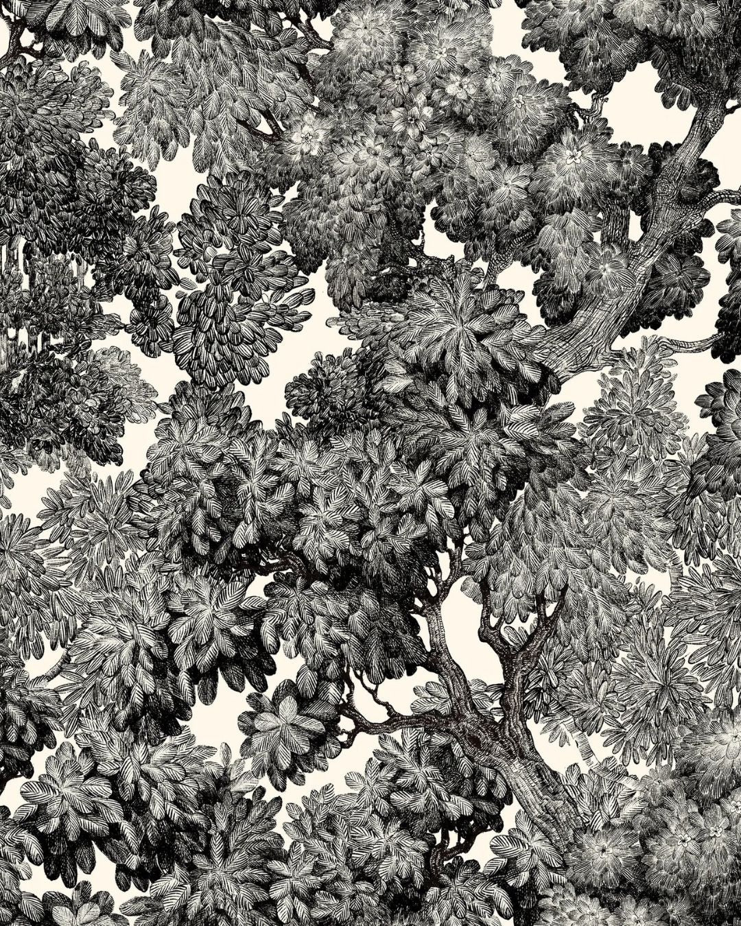 Papier peint Tree for Two, feuillages d'arbres noirs sur fond écru, Maison Thevenon